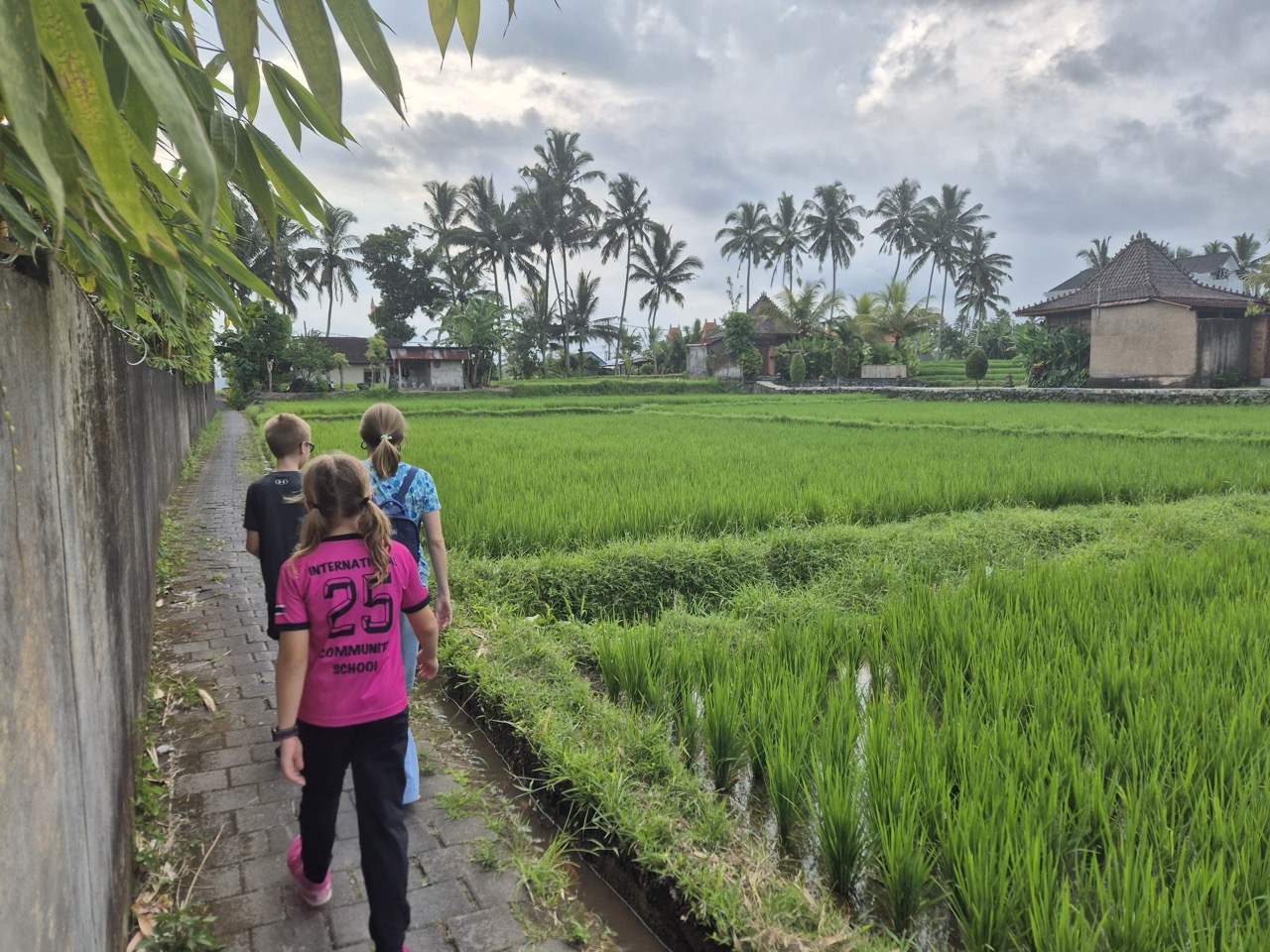 To Bali!