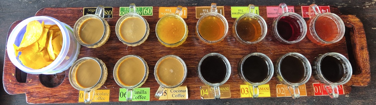 Coffee Plantation