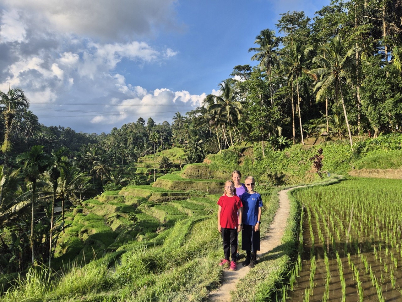 Terraced Fields