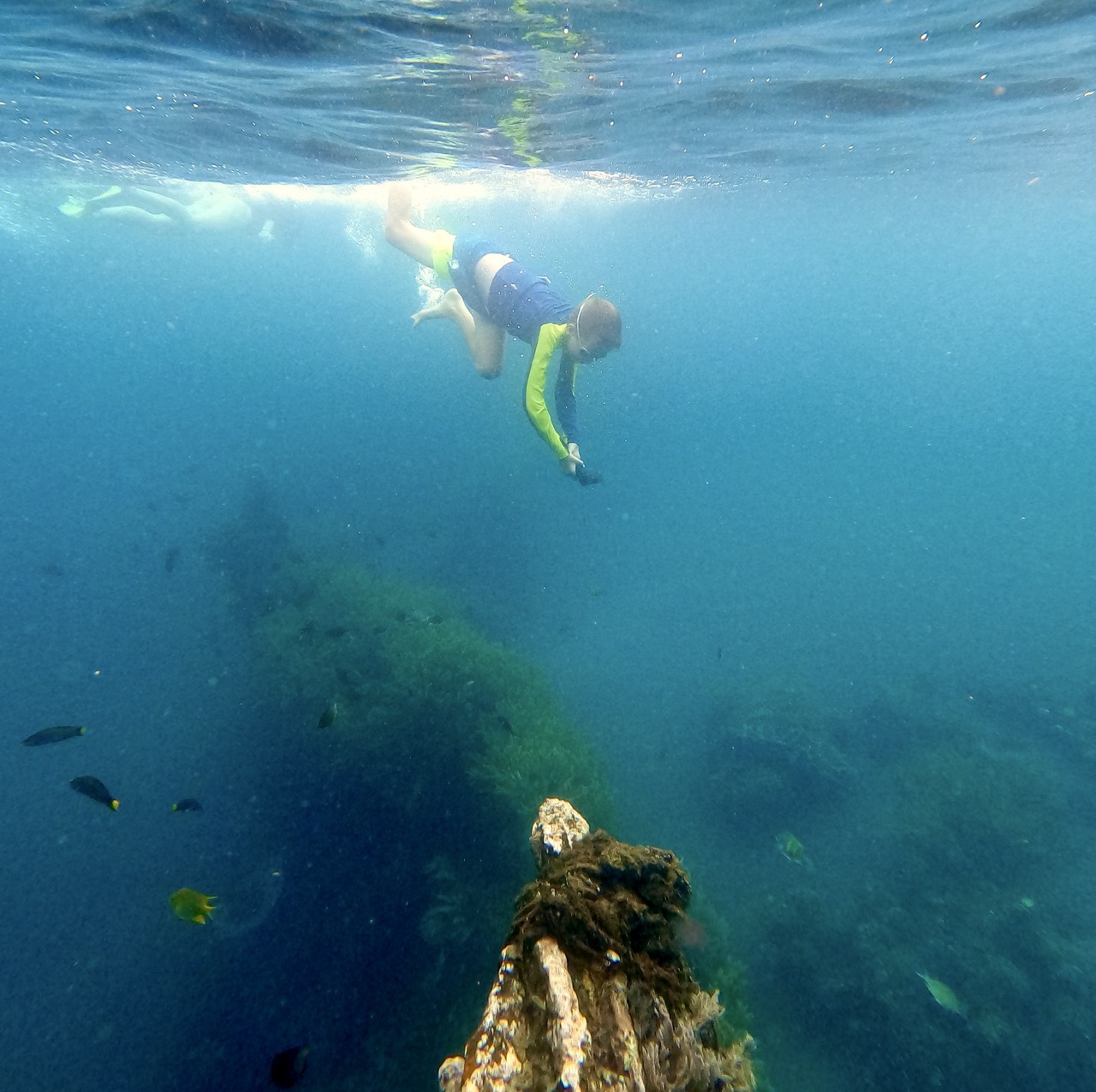 Shipwreck